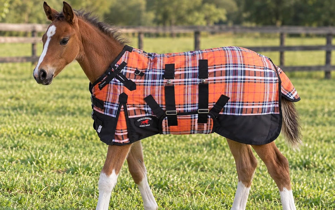 CHALLENGER 1200D Foal Winter Blanket Miniature Pony Donkey Bellyband