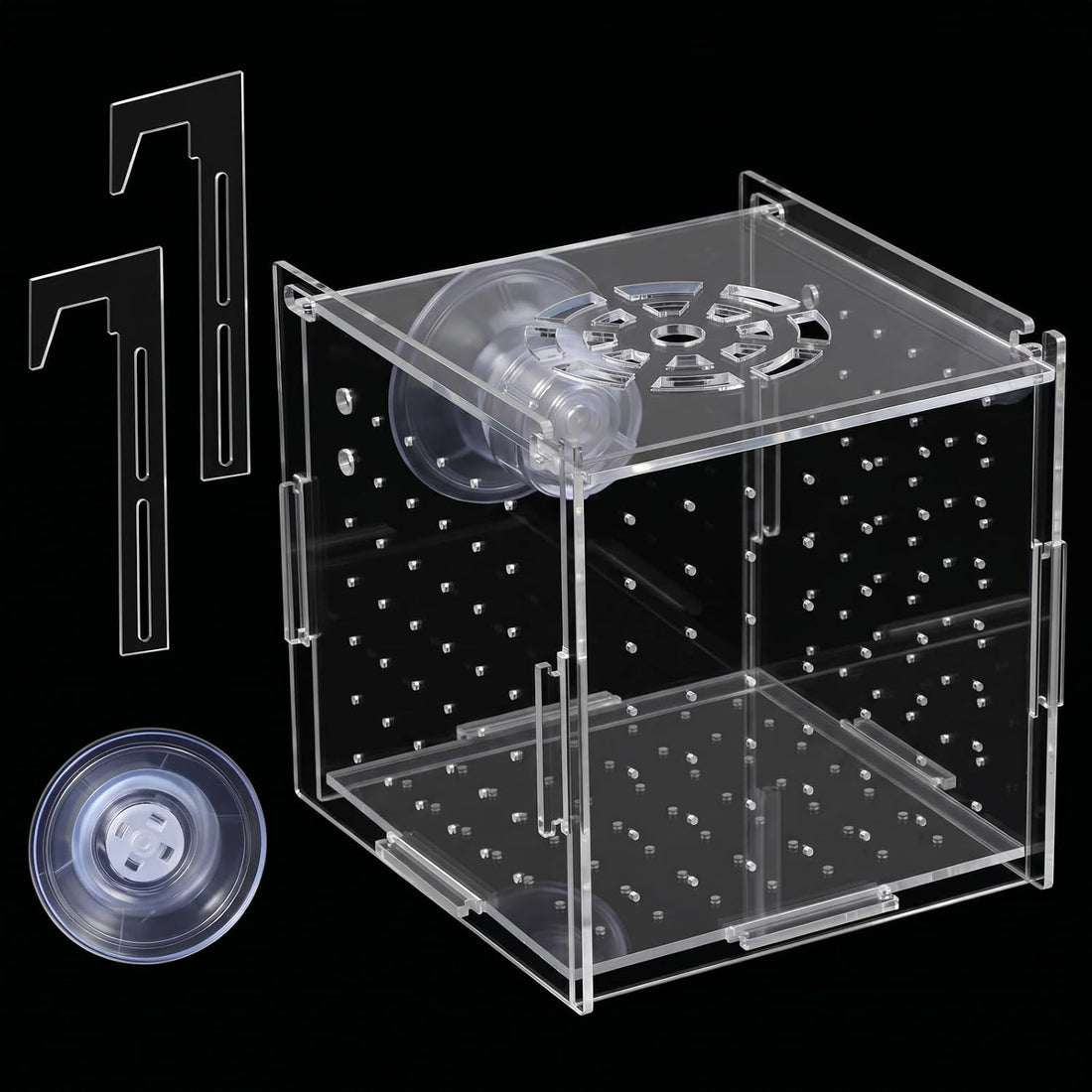Acrylic Fish breeding Box, Fish Acclimation Isolation Box