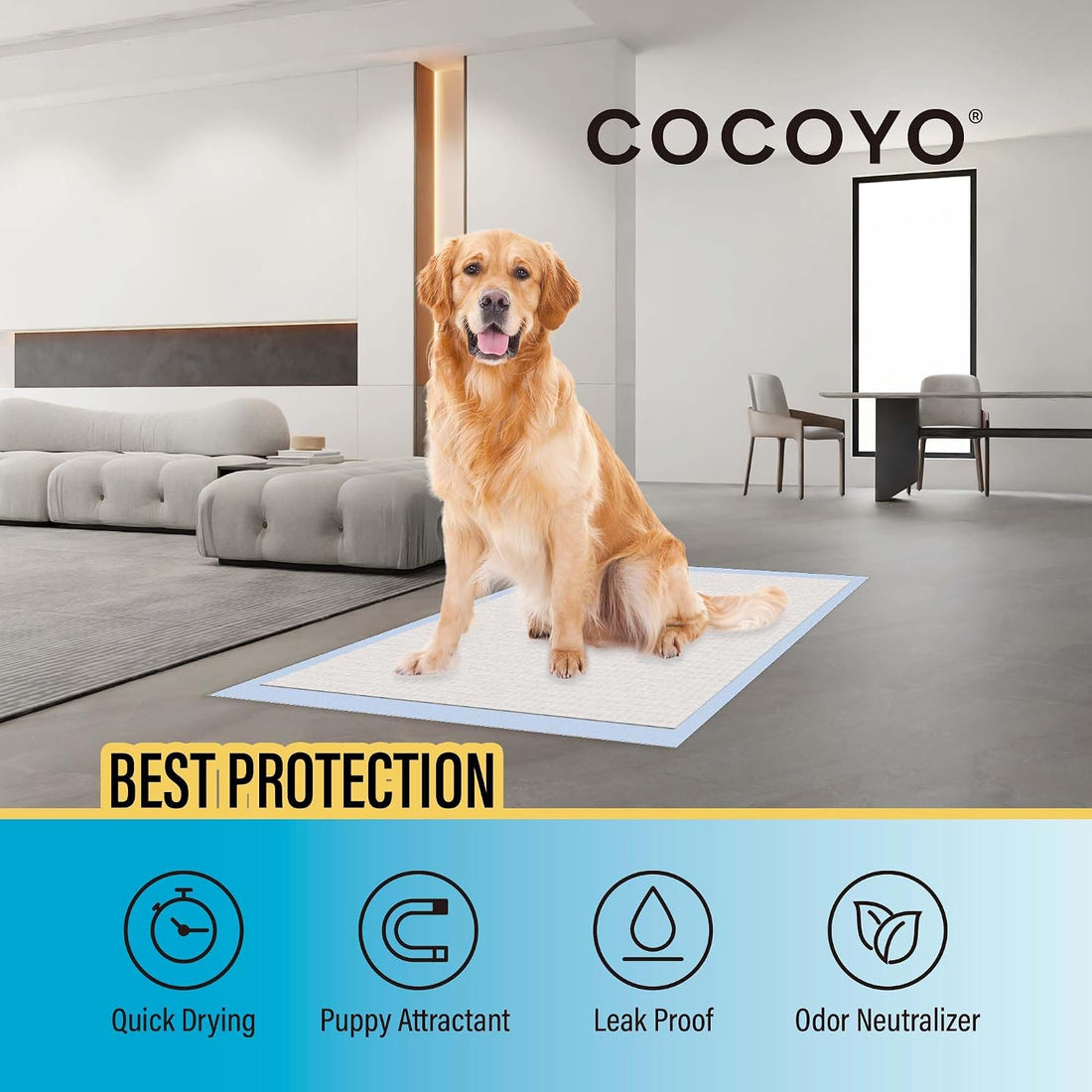 COCOYO Best Value Training Pads, 22" x 22", 100 Count
