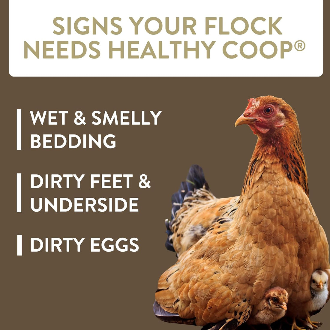 FlockLeader Healthy Coop, Odor & Moisture Neutralizer for Chicken