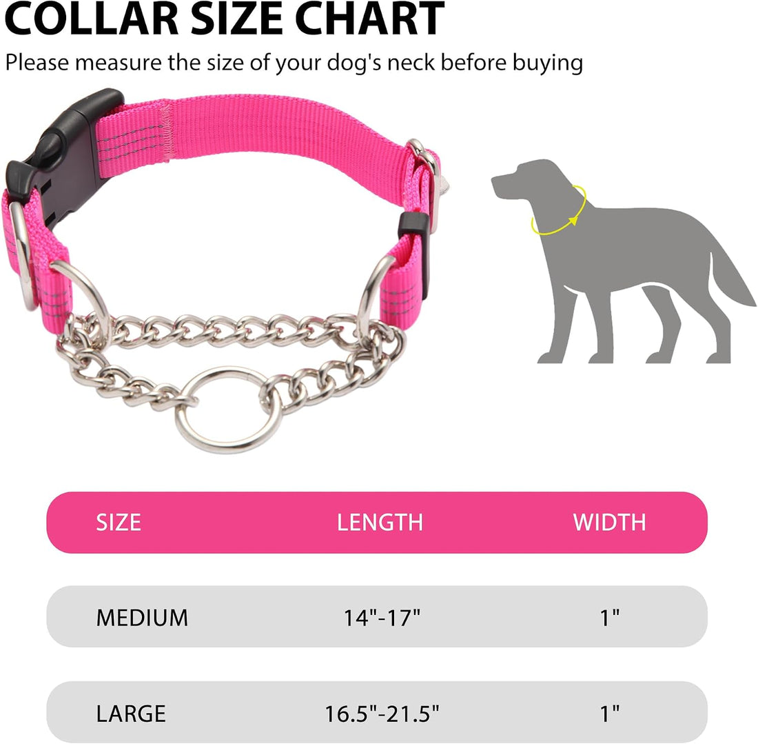 Yunleparks Martingale Dog Collar with Quick Release Buckle Steel