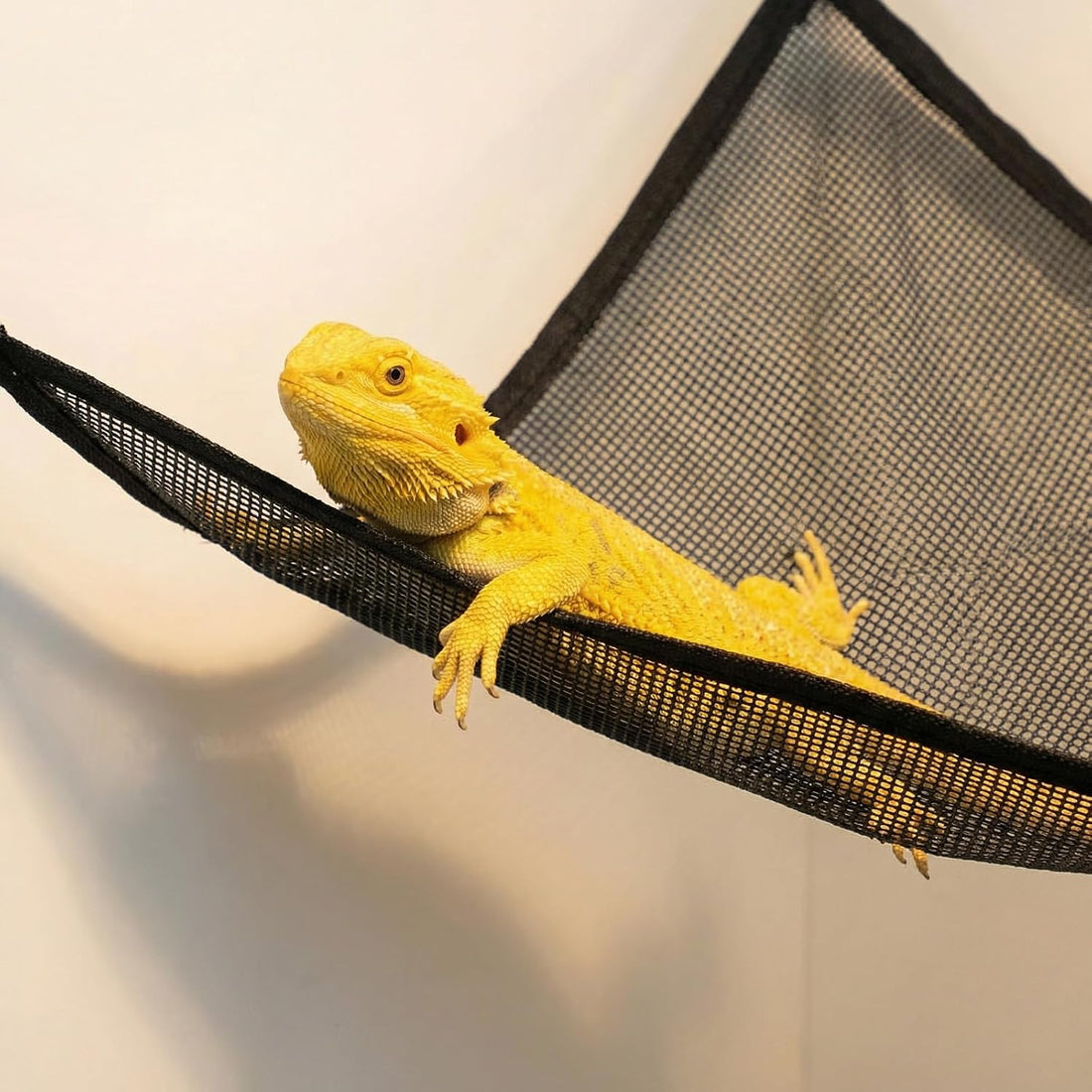 Snake Enclosure Accessories, Reptile Climbing Ring Hammock Set