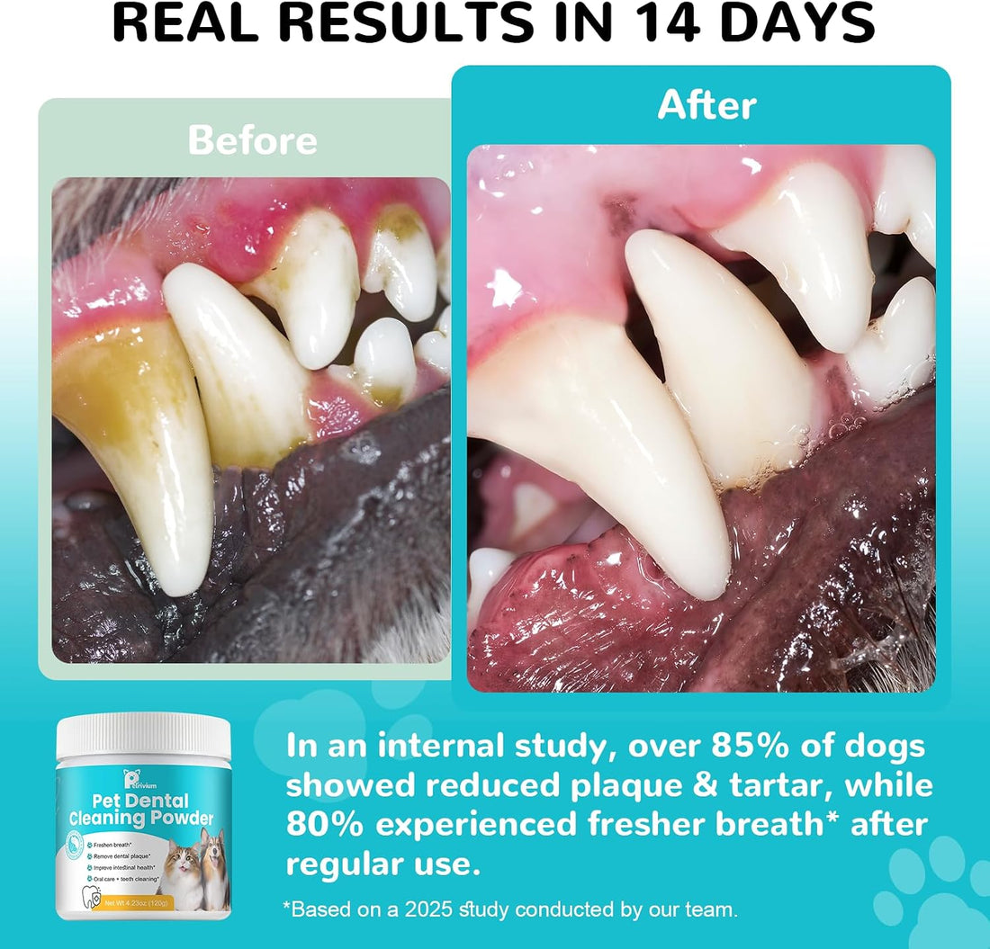 Dental Powder for Dogs, Dog Teeth Cleaning Powder