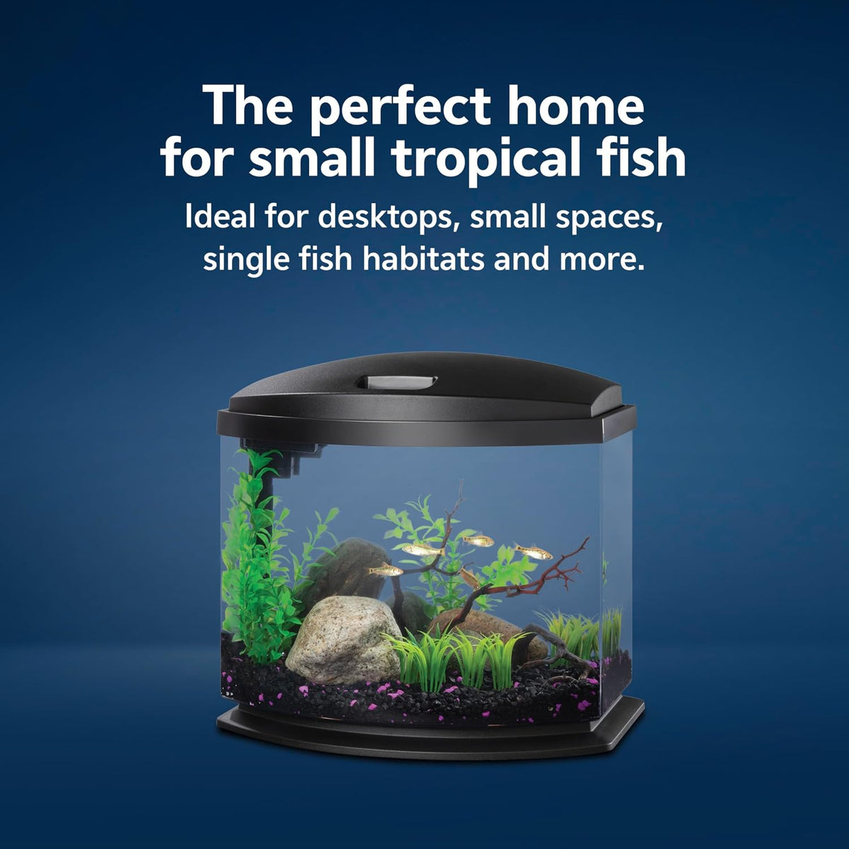 Aqueon LED MiniBow Small Aquarium Fish Tank Kit with SmartClean