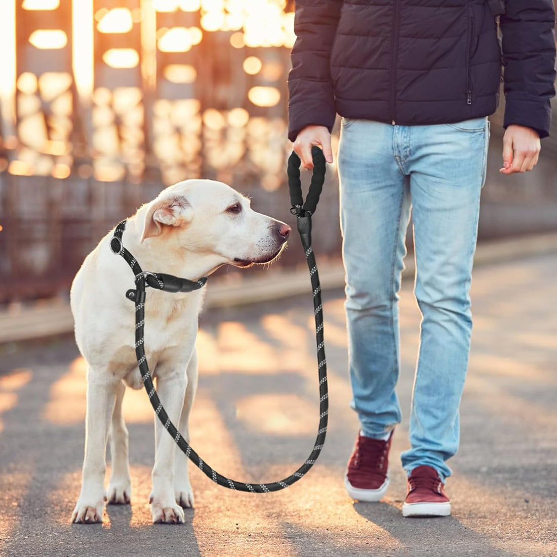 HOMIMP Slip Lead Dog Leash 6 FT
