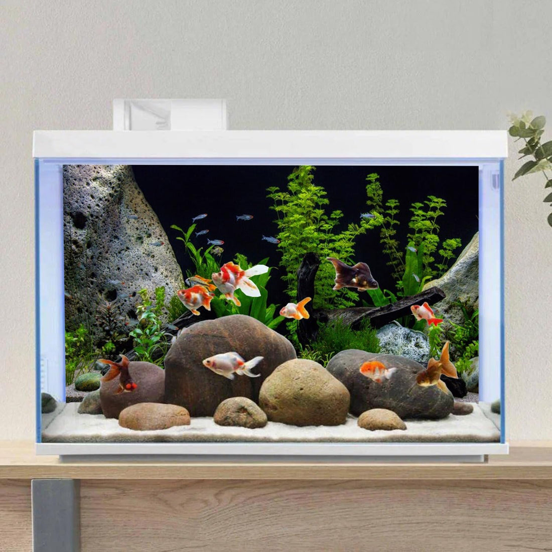 Underwater Aquatic Fish Tank Background Stone Aquarium Backdrop 72x24