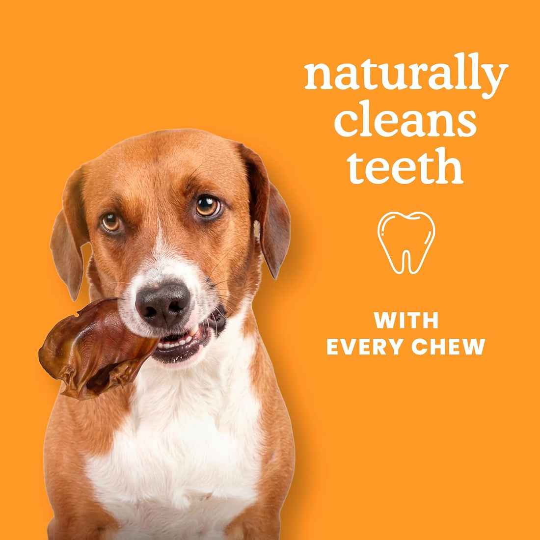 Jack&Pup Pig Ears for Dogs - All Natural Single Ingredient Extra