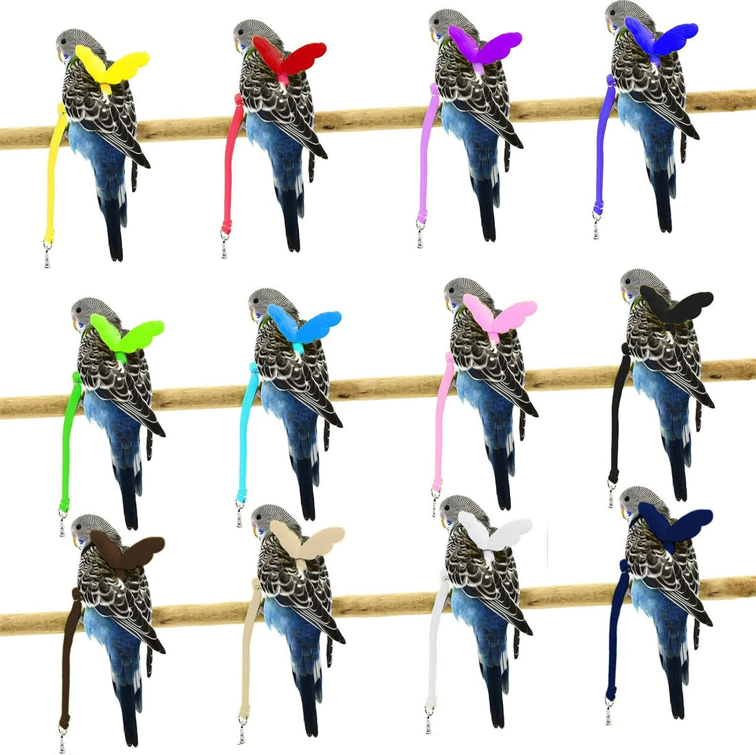 Dnoifne Parrot Harness and Leash, Adjustable Training Design Anti-Bite