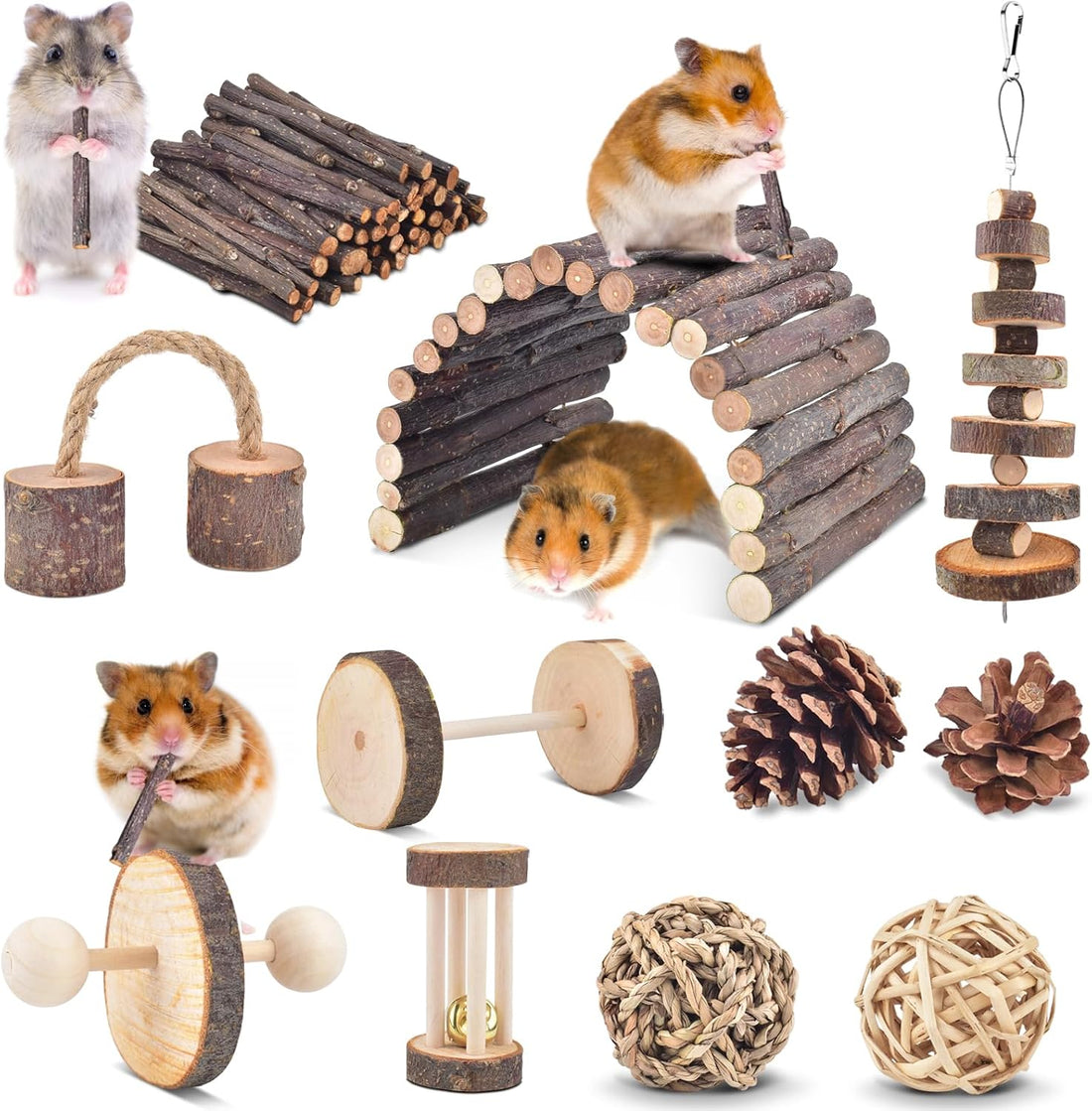 ERKOON 11 Pack Chinchillas Chew Toys, Toys Accessories for Teeth Care