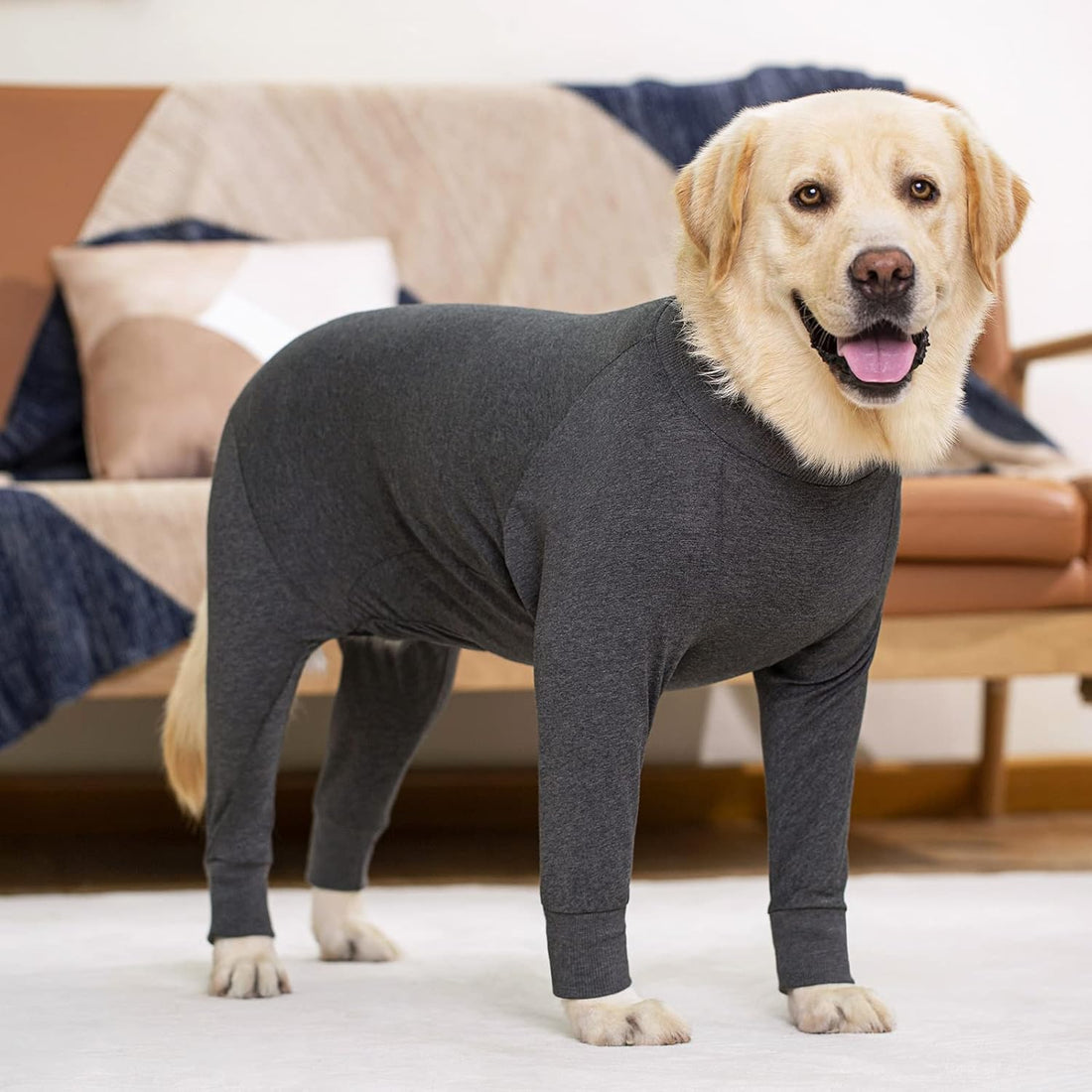 kzrfojy Dog Recovery Suit for Dogs After Surgery Female Male Medium