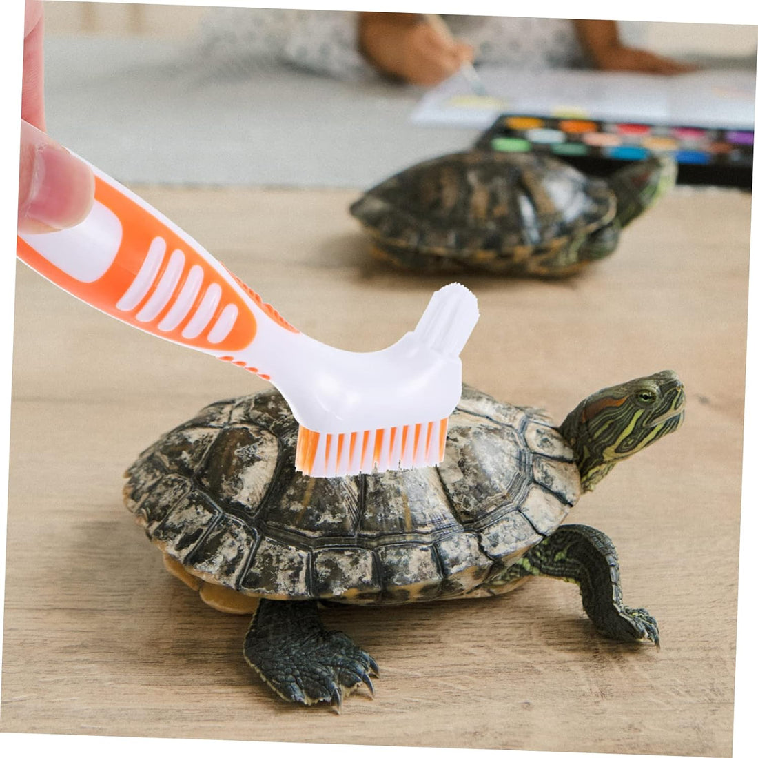 Turtle Shell Cleaning Brush - Aquatic Tortoise Shell Brush