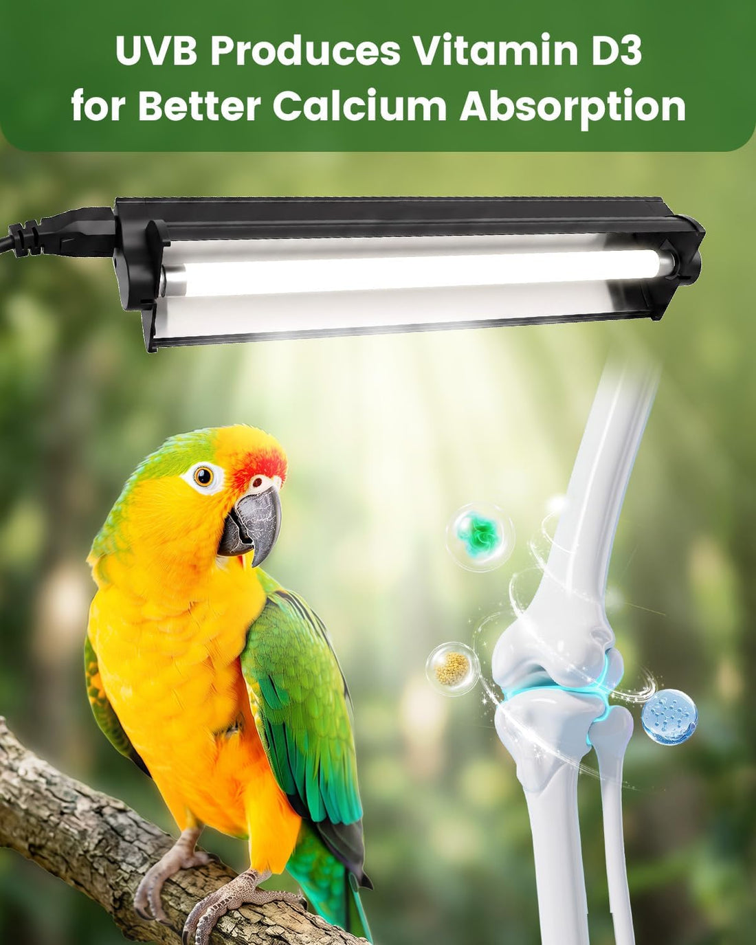 GlowUp UVB 2.4 Bird Lamp,12.4 Inch T5 8W Bird Light for Cage