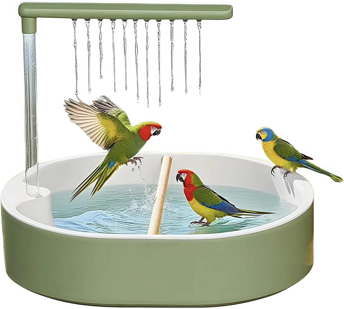 Bird Bath, Automatic Parrot Shower Bath