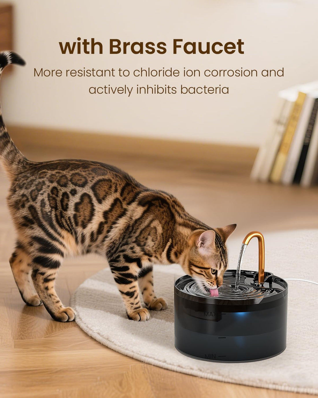 MISFANS Cat Water Fountain with 3-Pack Replaceable Filters,Copper