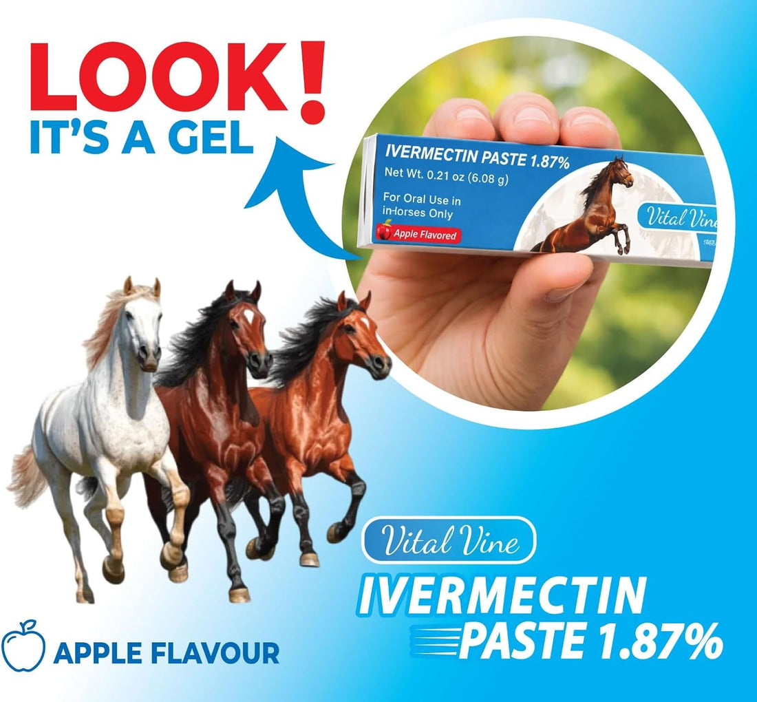 VITALVINE Ivermectin 1.87% Paste for Horses