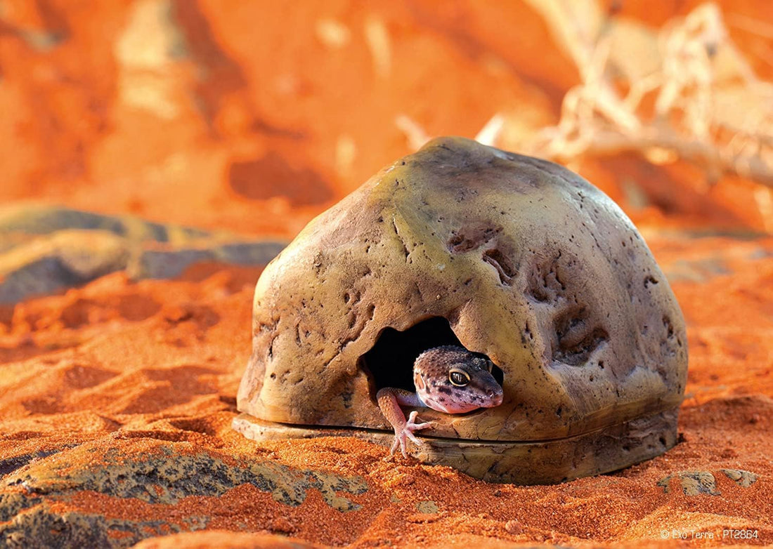 Exo Terra Gecko Cave for Reptiles and Amphibians, Reptile Hideout