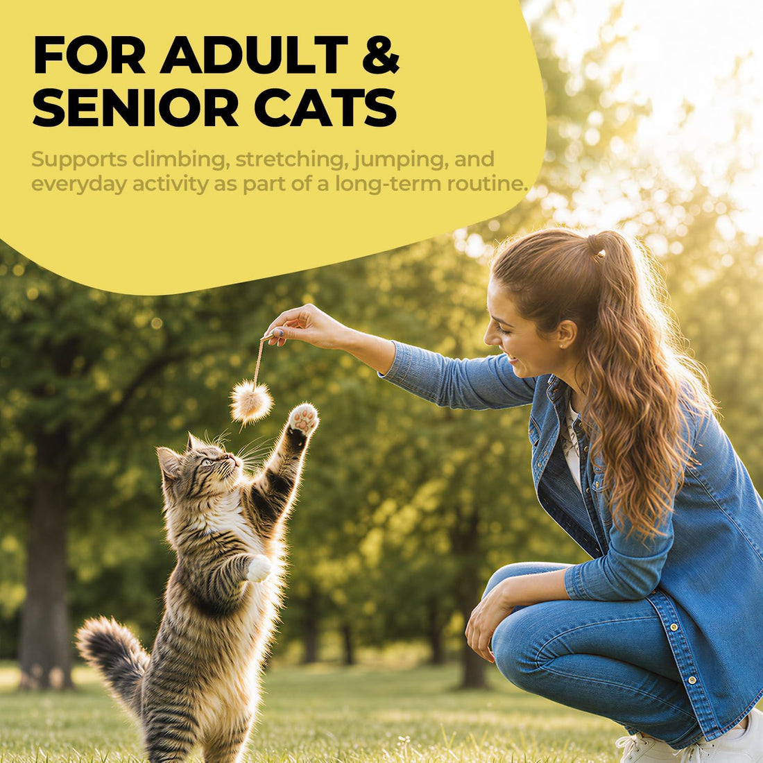 Glucosamine for Cats, Senior Hip & Joint Support