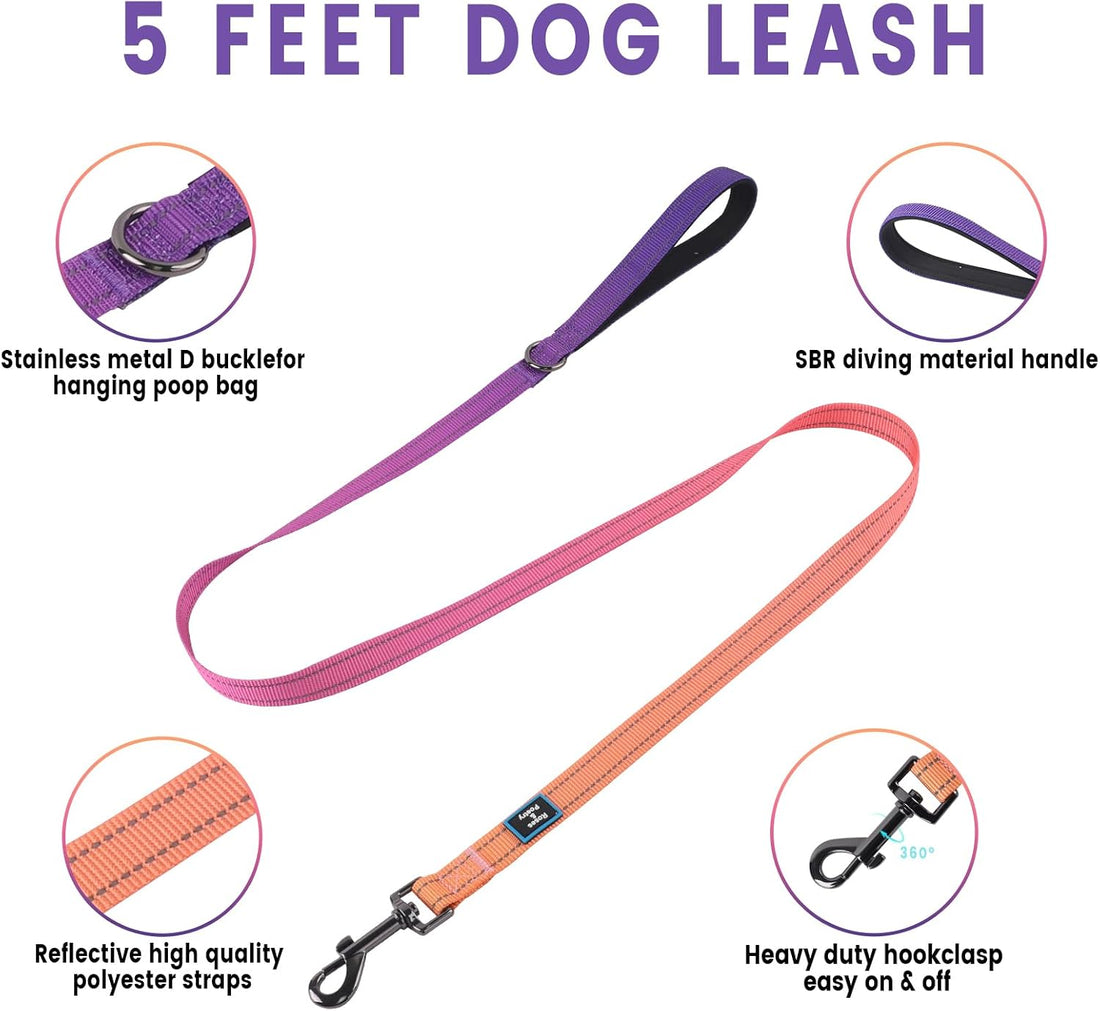 Roses&Poetry Small Dog Harness and Leash Set