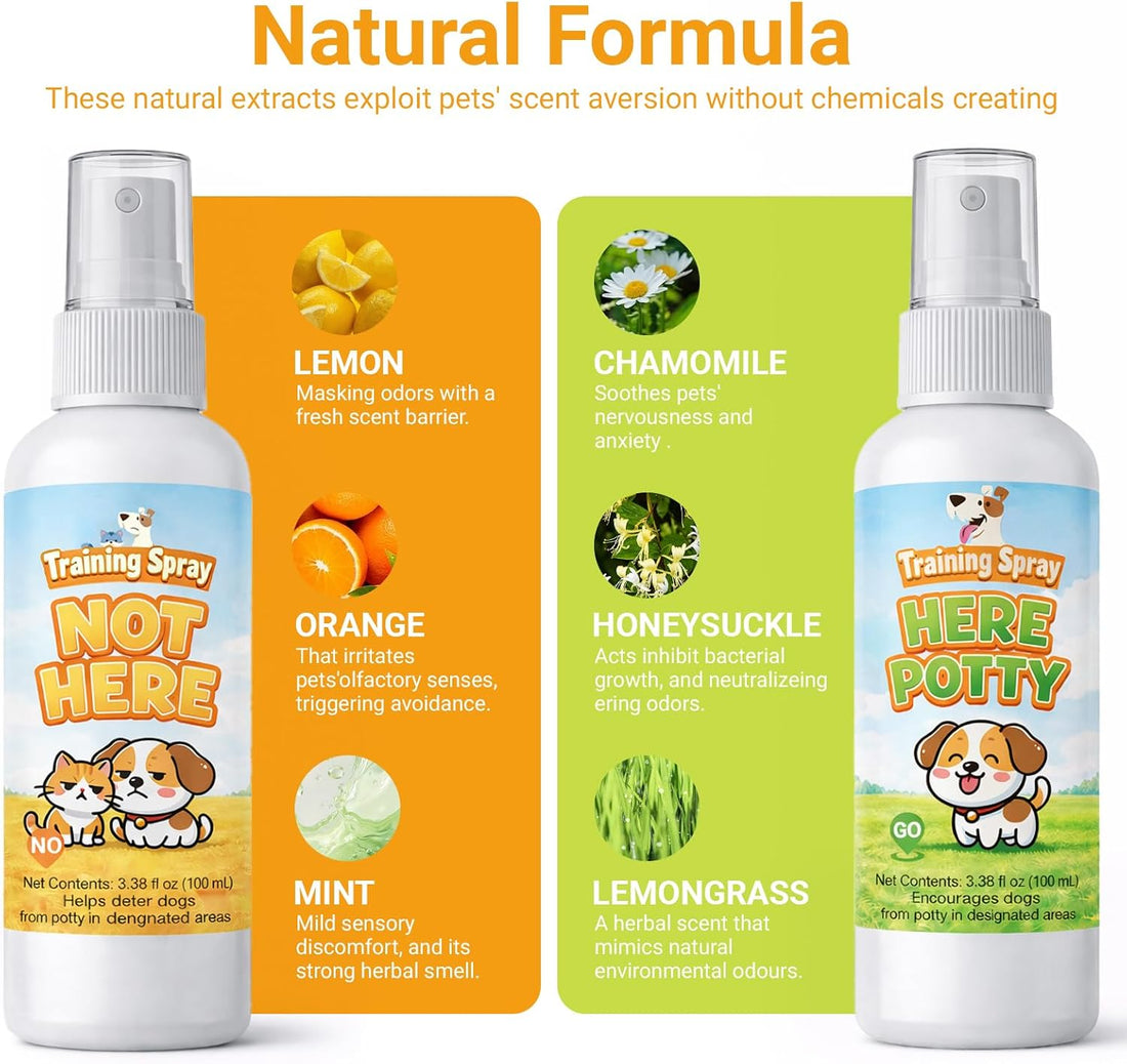 Norce Sactor Potty Training Spray for Dogs