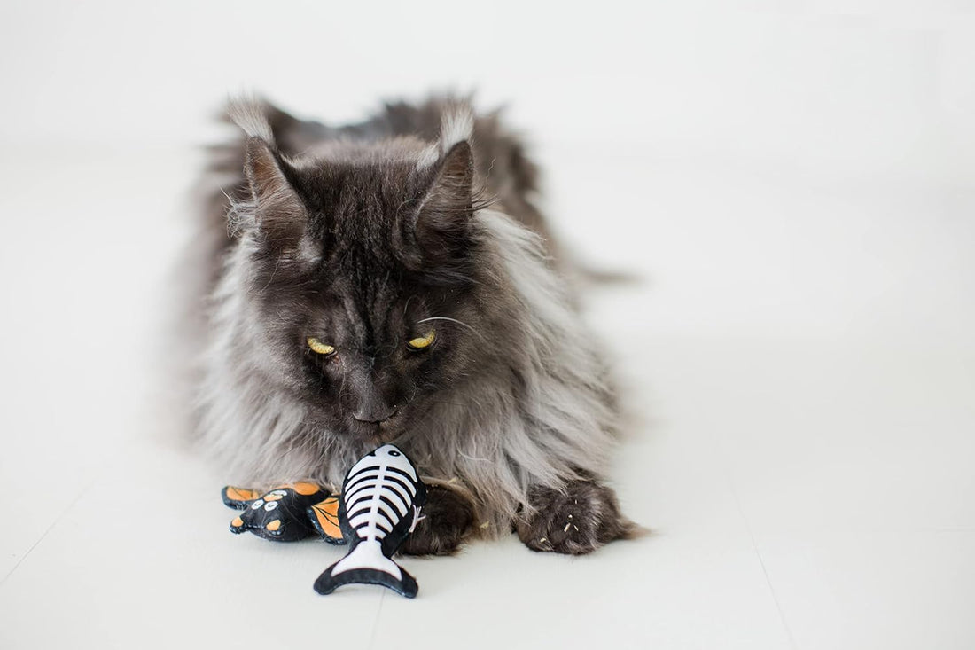 Pearhead Halloween Halloween Cat Toys, Set of 2