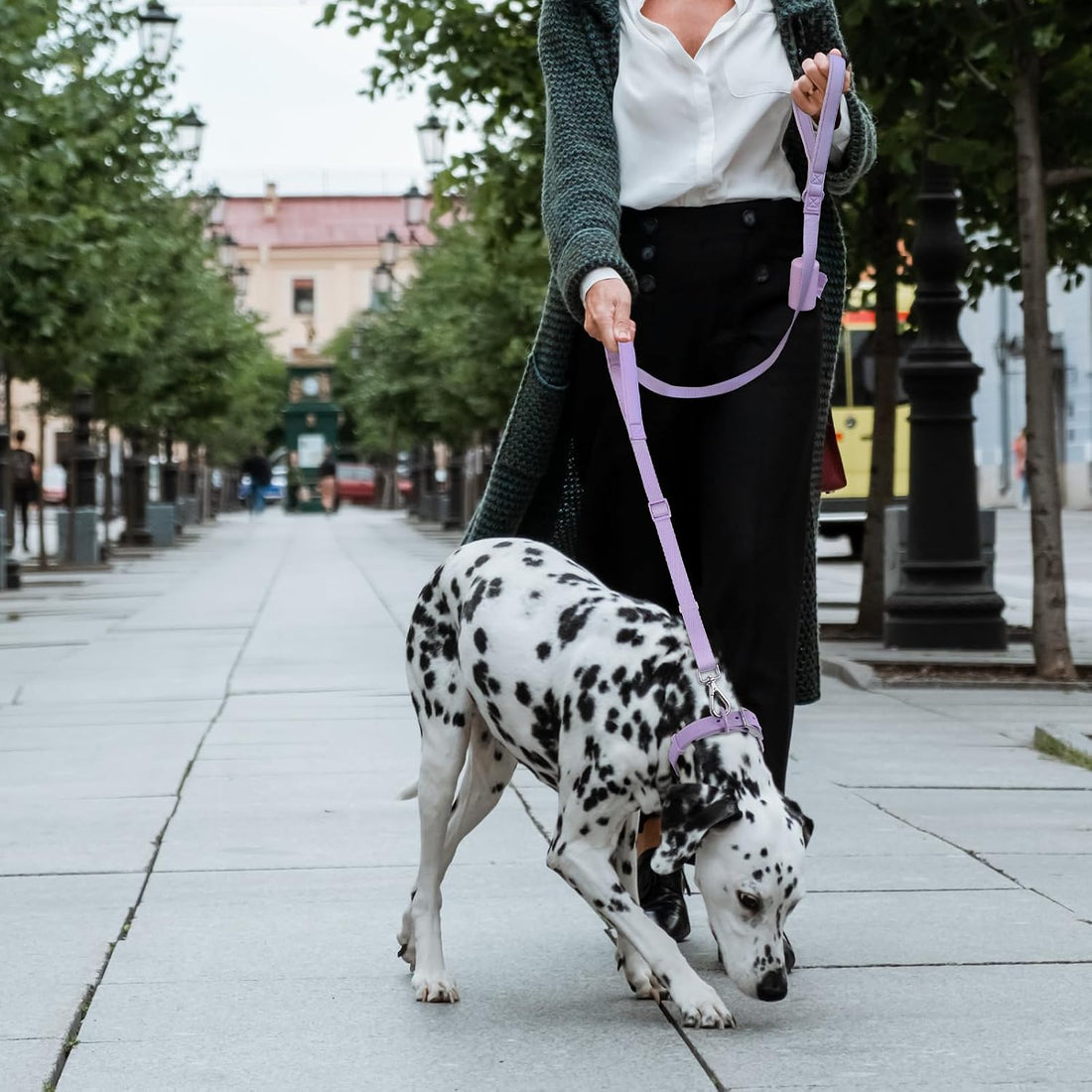 Wisedog Two Handles Dog Leash, Lilac, L|5.2 ft-6 ft