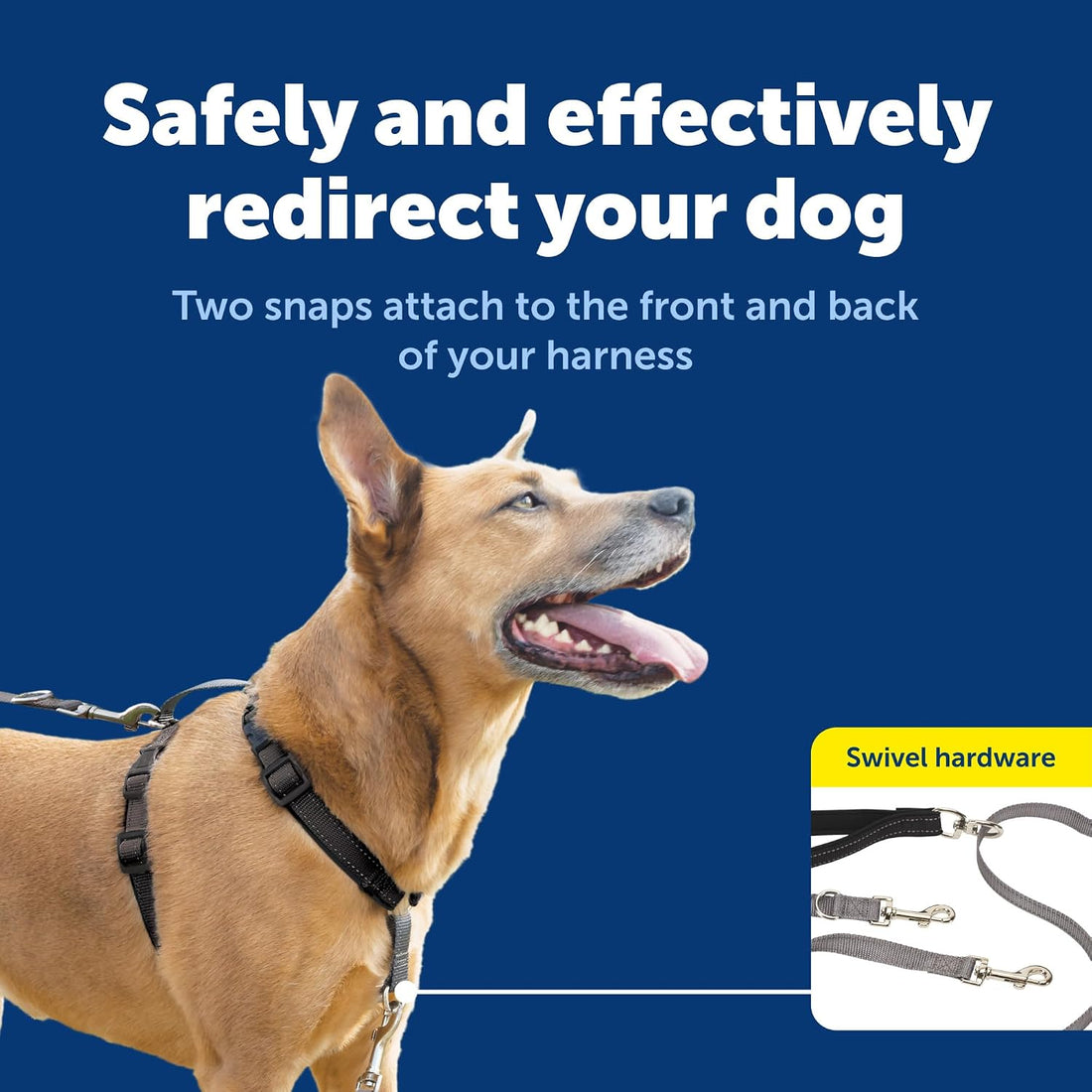 PetSafe Two Point Control Dog Leash, 3/4 in