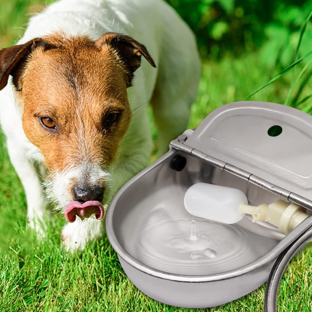 304 Stainless Steel Automatic Livestock Waterer with Float Valve