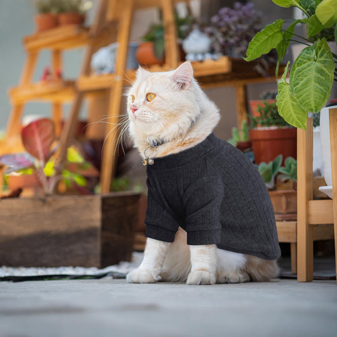 Idepet Sphynx Hairless Cats Sweater Shirt Kitten Soft Puppy Clothes