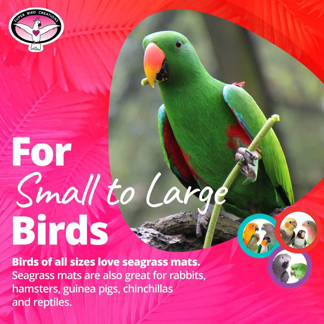 Super Bird Creations SB50008 Seagrass Mat for Cage Decor