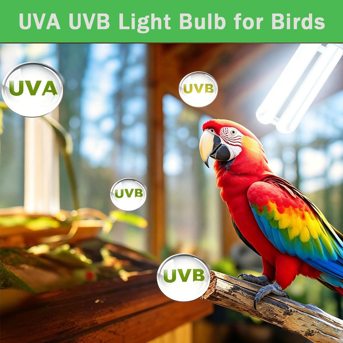 KINGYEENUO UVB 5.0 Bulb for Birds Compact Fluorescent Light Bulb E26