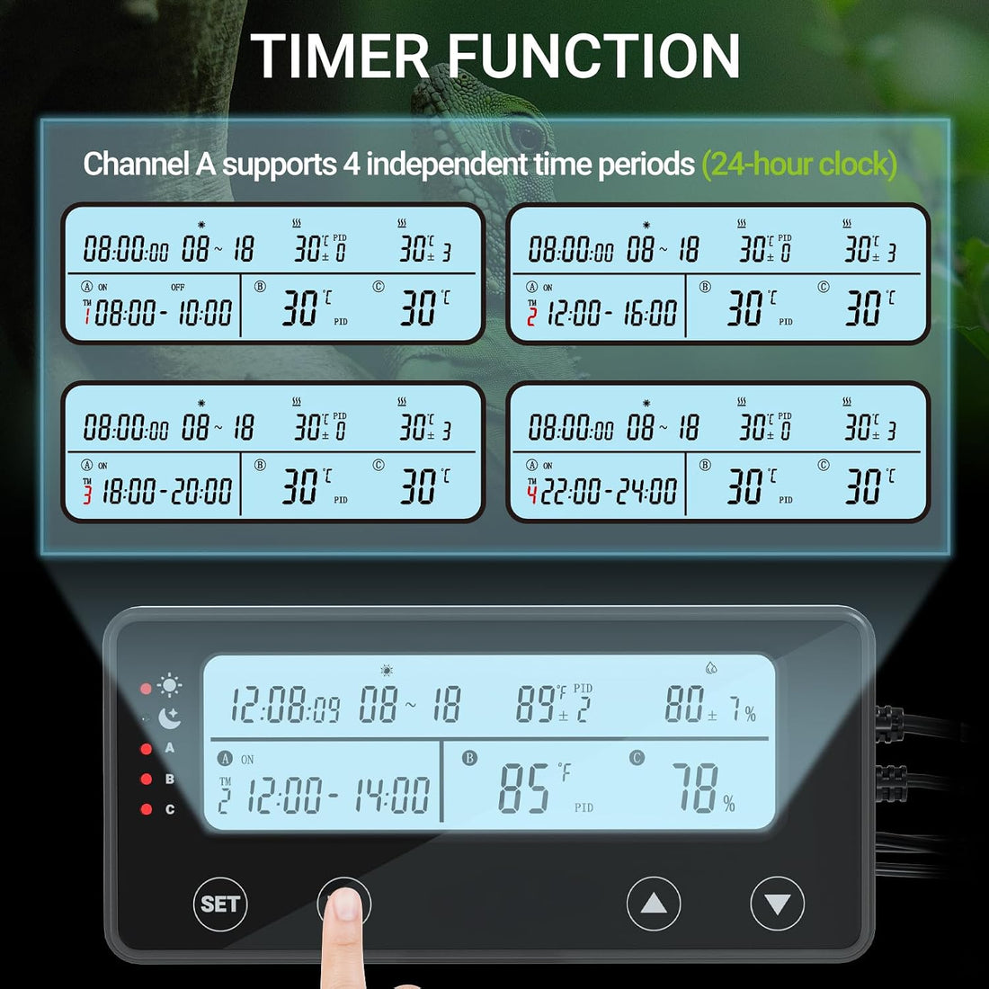 Reptile Temperature Controller with Timer