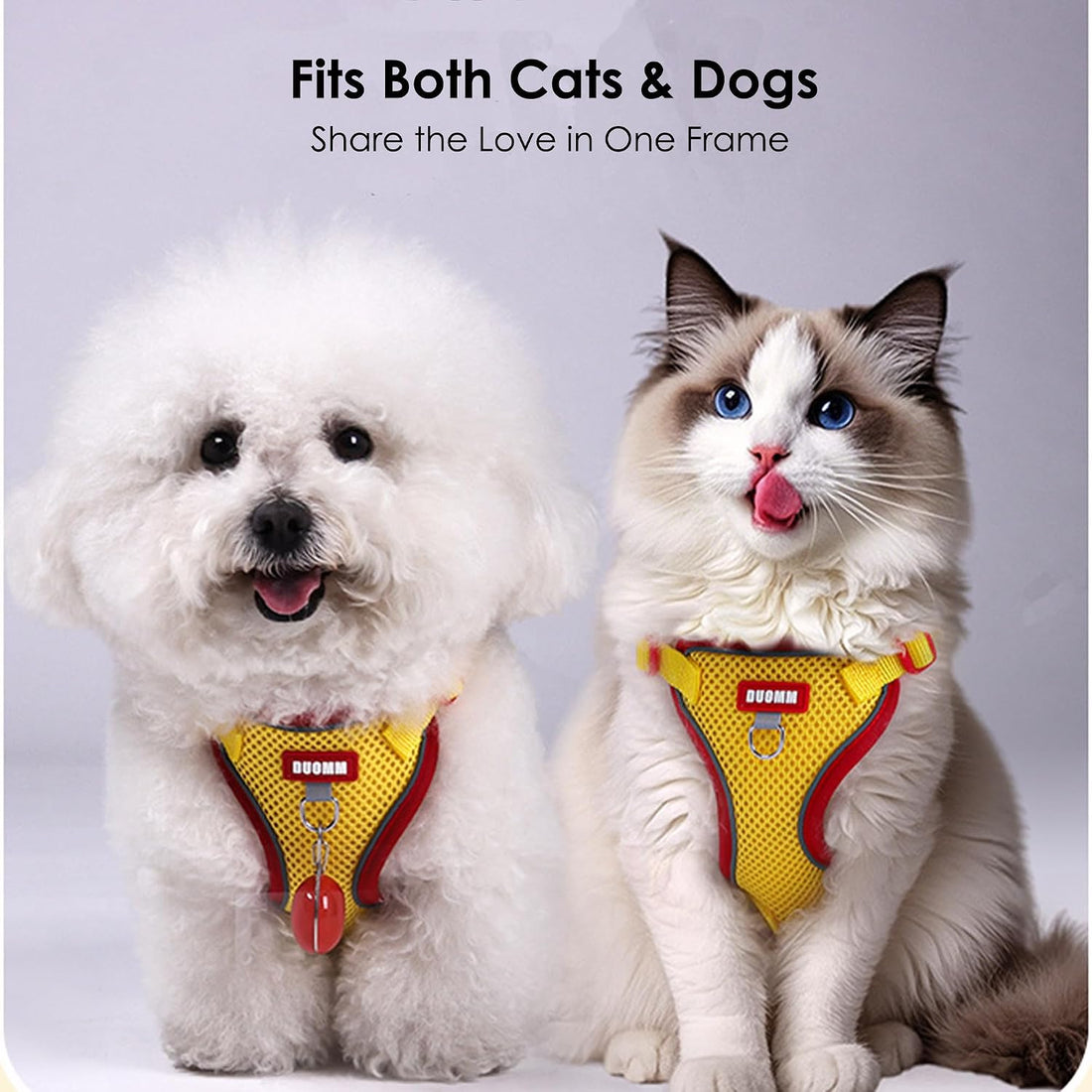 Cat Harness and Leash Set for Walking