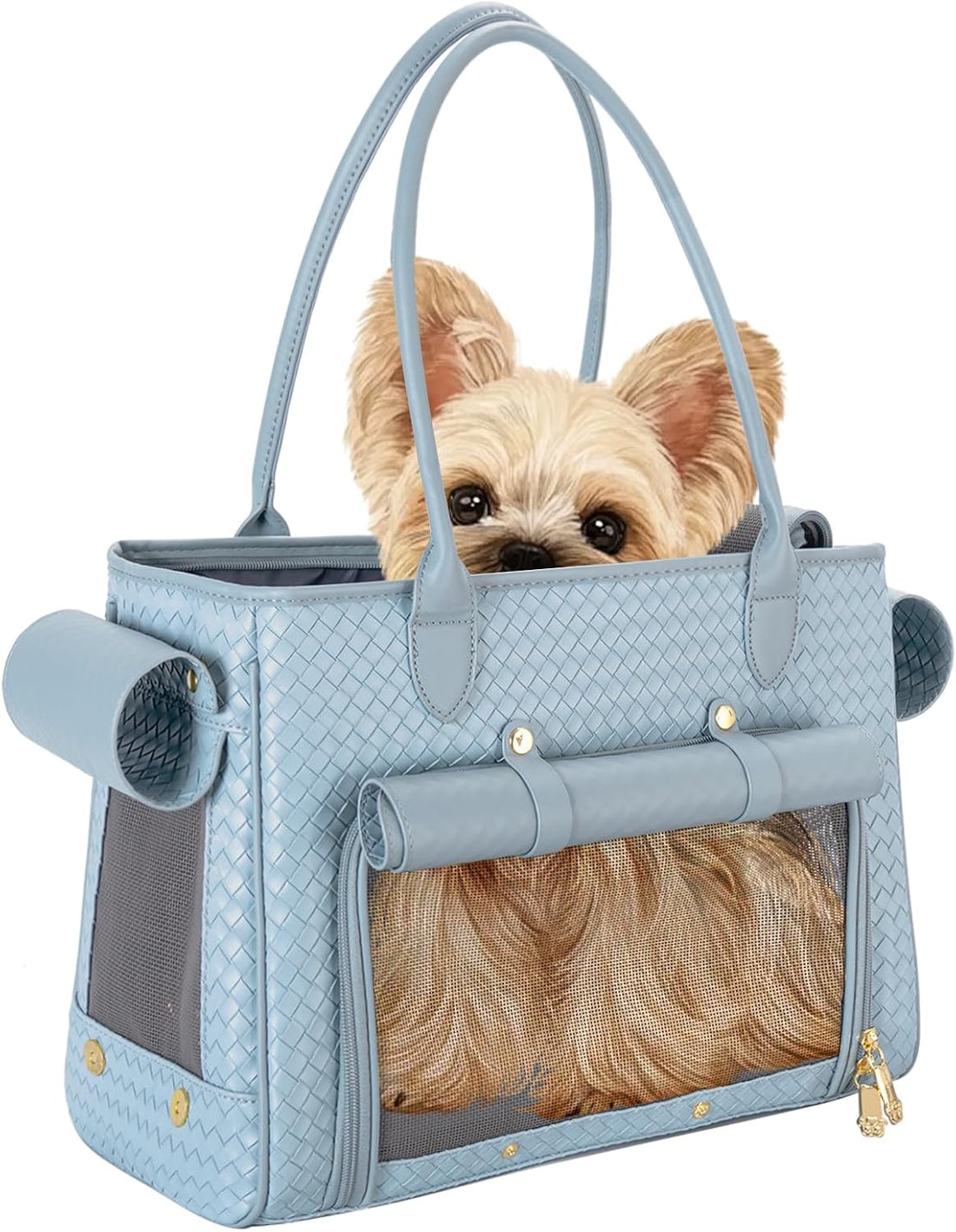 Fashion Pet Carrier Purse for Small Cat and Dog