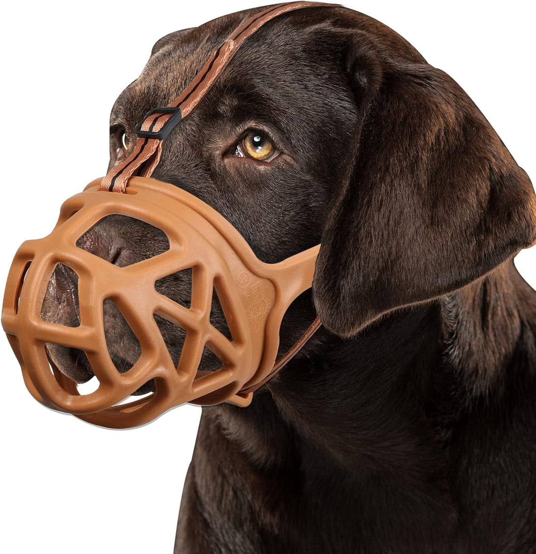BARKLESS Dog Muzzle, Humane Basket Muzzle for Large Dogs Biting