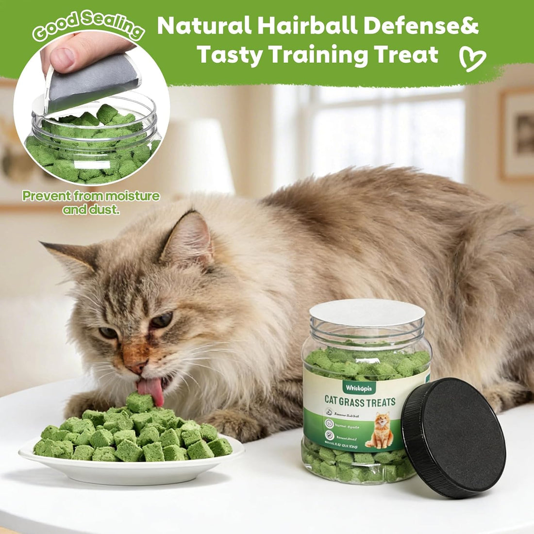 Whiskopia 4.23oz Cat Grass Treats for Indoor Cats Freeze-Dried Cat