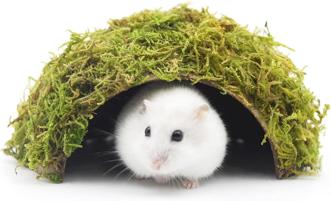 Hamster Hideout - Large, Natural Moss, Handcrafted for Syrian Hamsters
