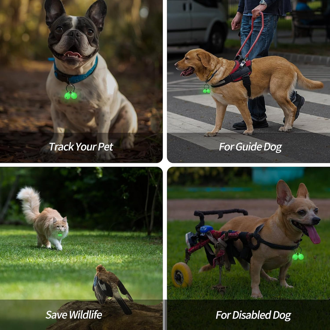 Whimsii Bells for Dog Collar, Glow Bell for Medium to Large Dogs