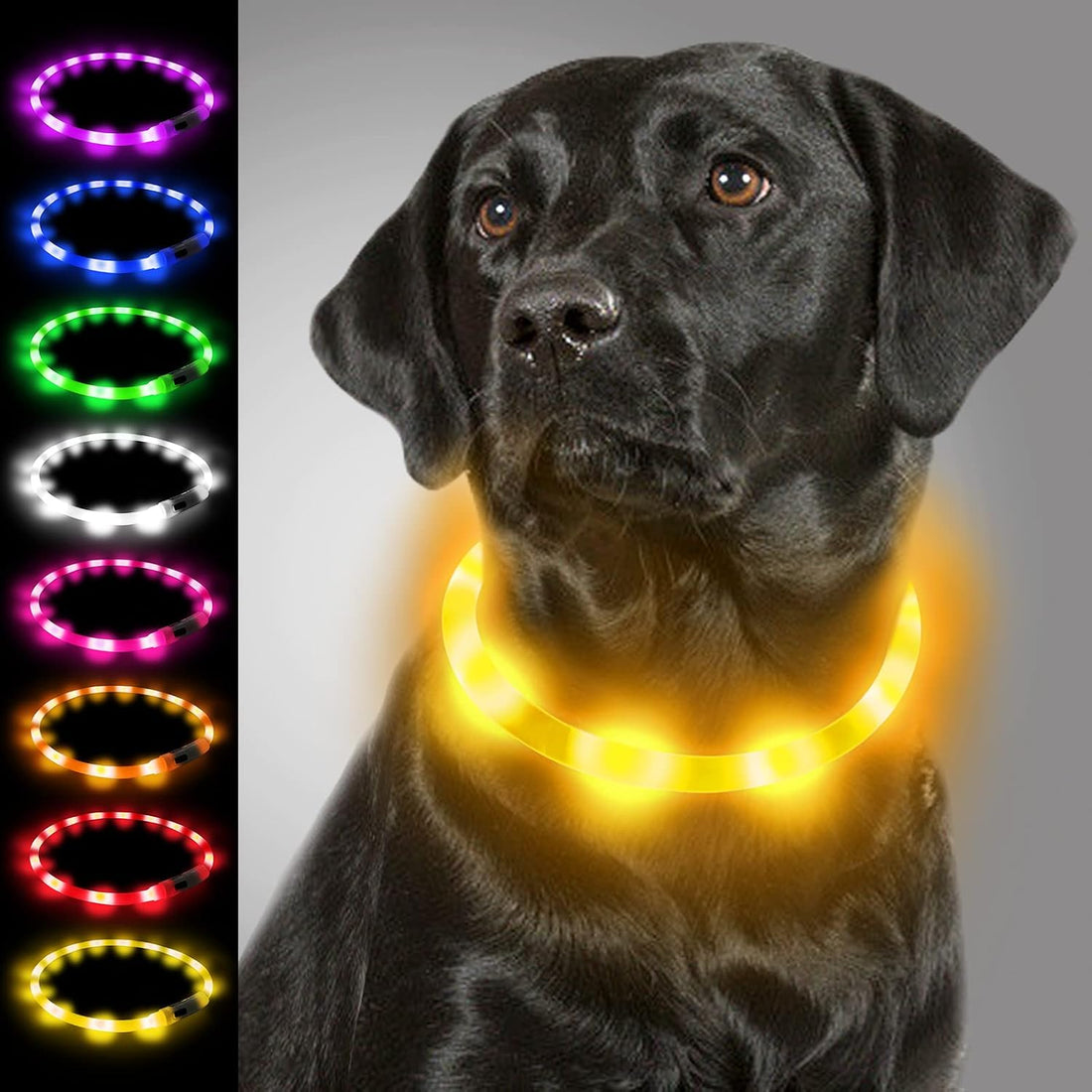 Joytale Light Up Dog Collar, LED Silicone Cut-to-Fit Rainproof