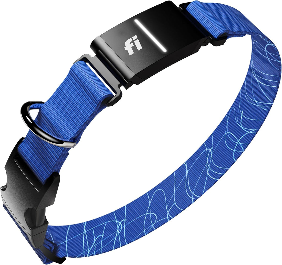 Fi Series 3+ GPS Dog Collar & Tracker, Membership Required, Gray L