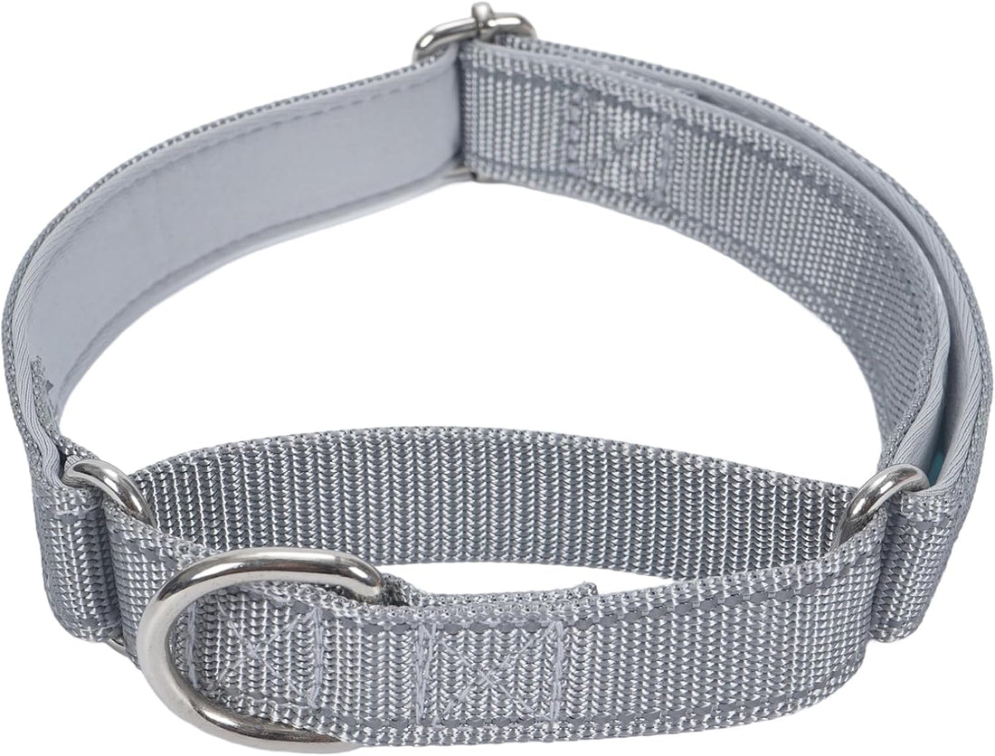SGODA Martingale Dog Collar, Blue, M