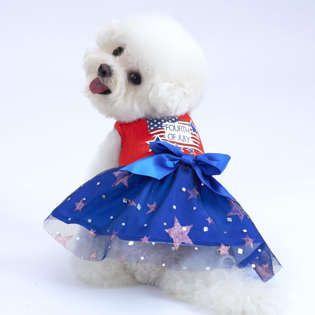 XPUDAC Halloween Dog Dress Witch Tulle Dress Holiday Dog Clothes