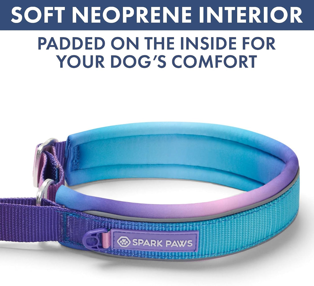 Spark Paws Martingale Dog Collar – Cushioned Slip-On Training Collar