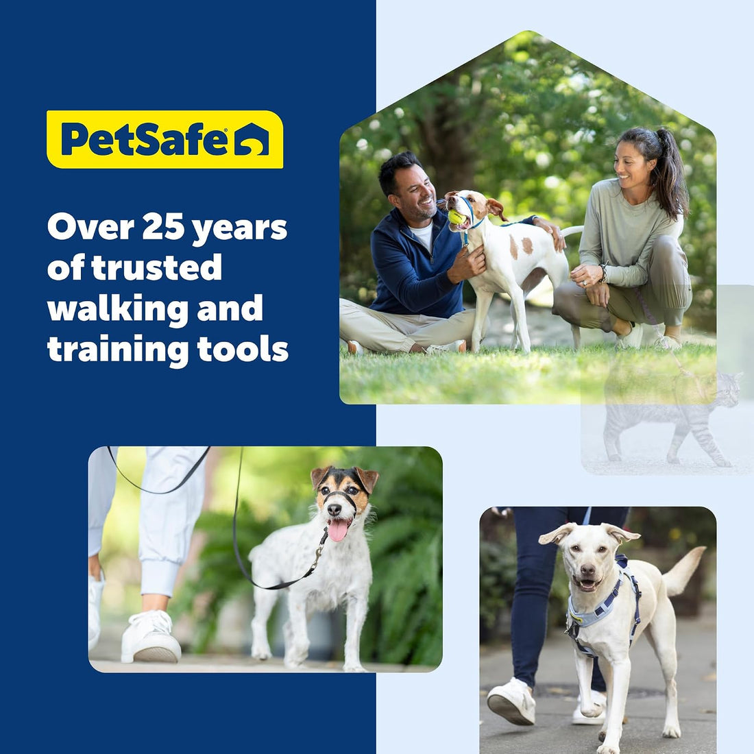 PetSafe Nylon Traditional Dog Leash with Bolt Snap
