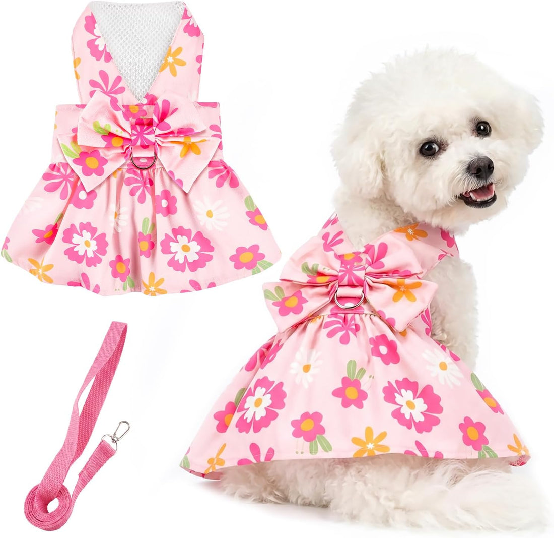 Dog Dress Harness Dresses Leash Set for Small Dogs Cute Girl Dog
