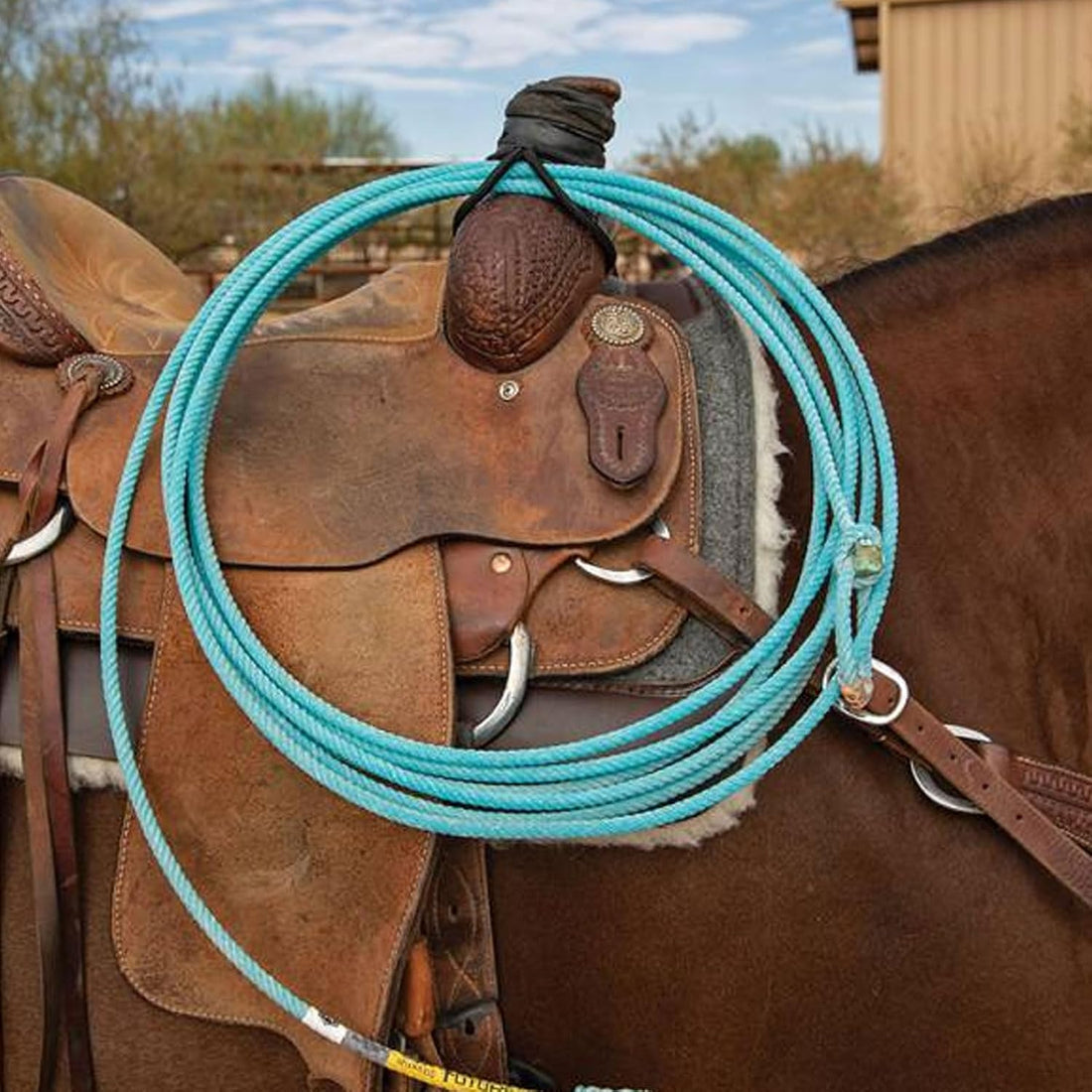 Professional's Choice Bungee Western Saddle Rope Holder
