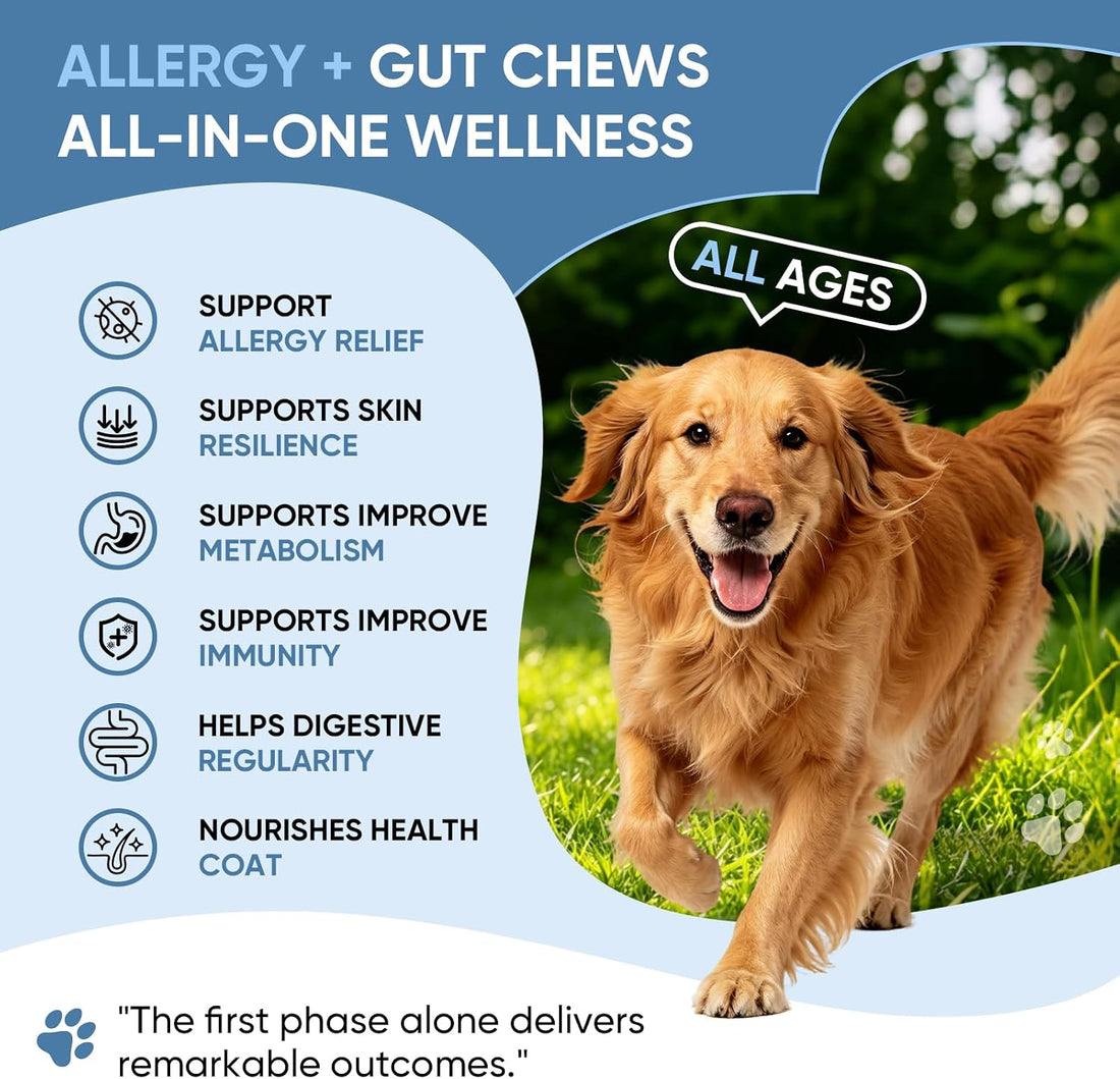 Dog Allergy Chews -，Highly palatable，Helps relieve itchy skin