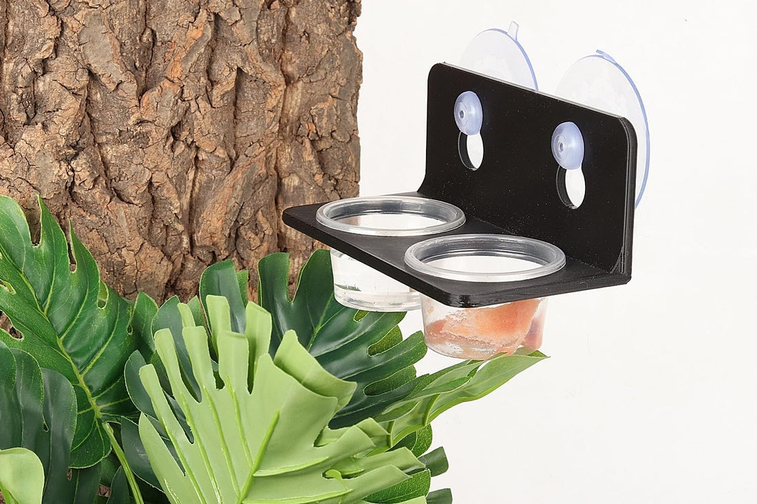 100Pieces 1oz Crested Gecko Food Cups