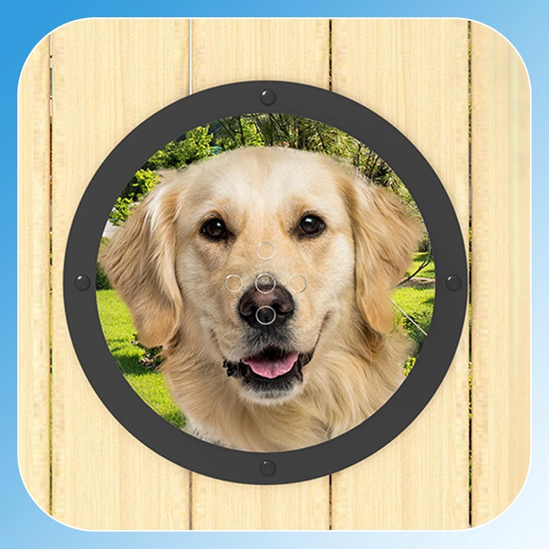 2 Pack Dog Fence Window with Air Holes Diameter 12.44" Deep 4.92"