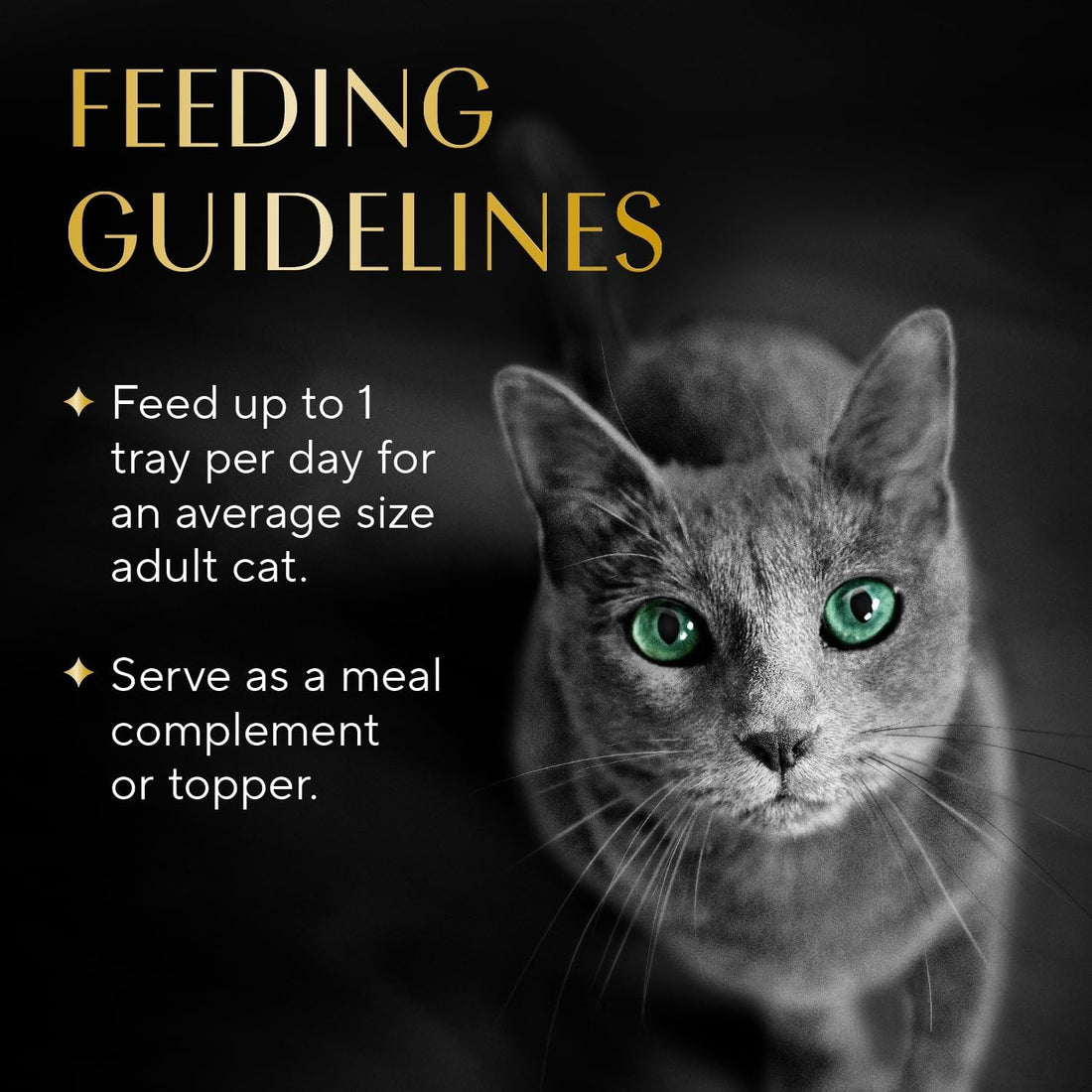 Sheba Selections Filets Wet Cat Food Complement, Chicken, 1.3 oz