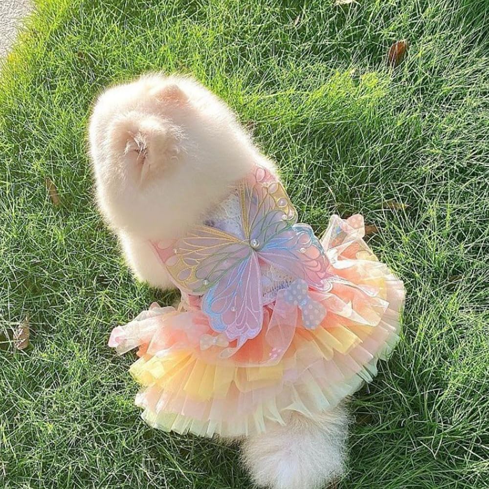 Rainbow Butterfly Dog Dresses for Small Dog Girl Puppy Lace Tutu